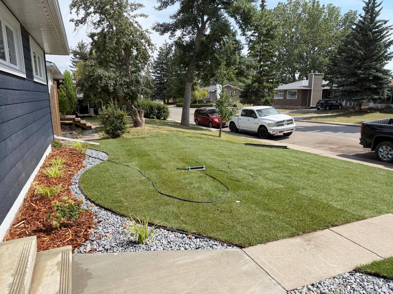 Irrigation line and sprinkler head being installed in a new front lawn in Edmonton