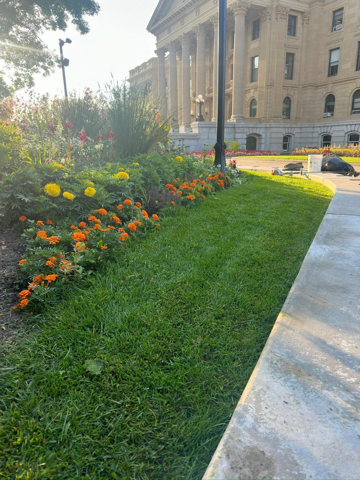Seasonal marigold flower beds and manicured turf maintained by Murat Construction in Edmonton